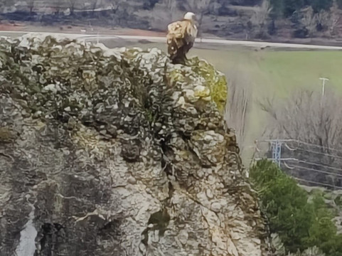 David's Coachtrips-托雷维耶哈必去景点