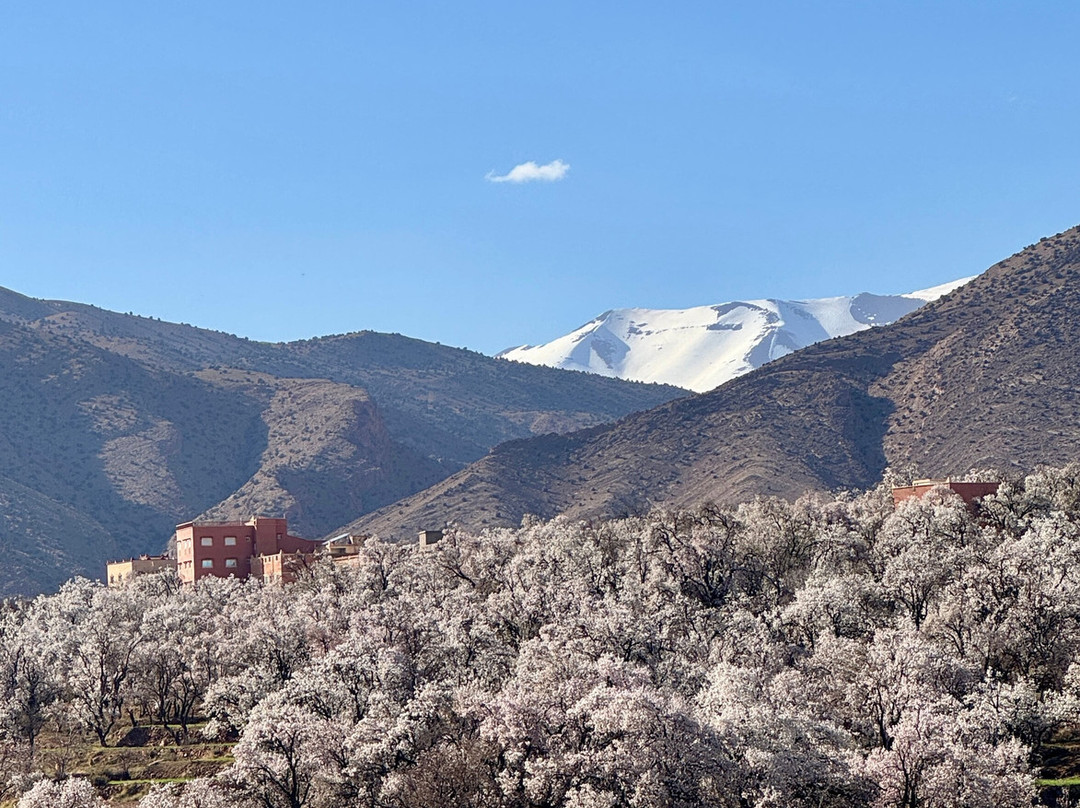 萨瓦迪酒店主图