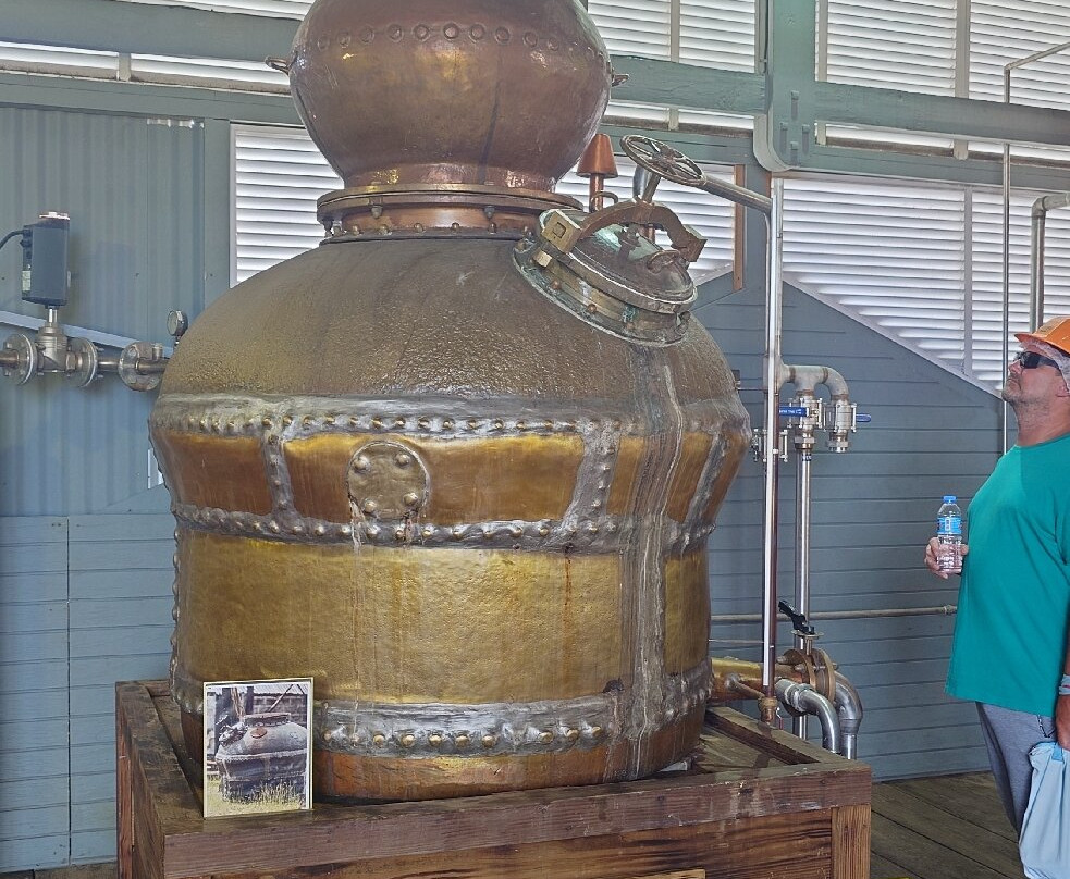 Stade's Rum Distillery-布里奇顿必去景点