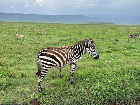 Mamnana Adventures-Olasiti必去景点