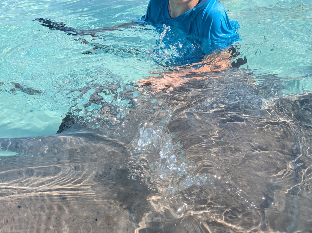 Silver Thatch Watersports-大开曼岛必去景点