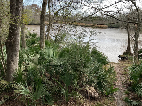 Palmetto Island State Park-Abbeville必去景点
