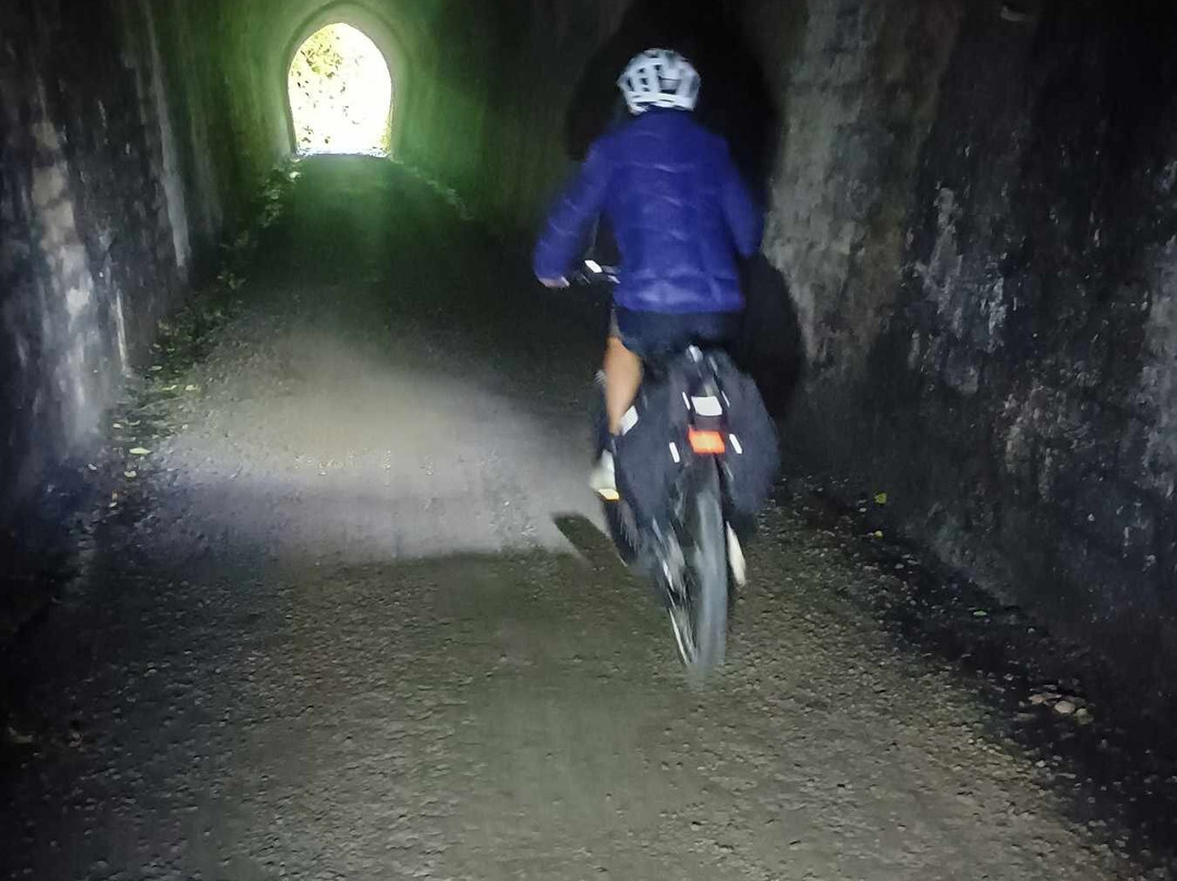 Wildfinder-惠灵顿必去景点