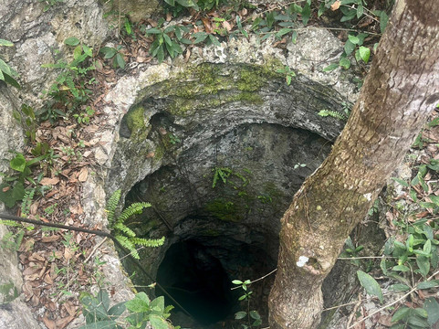 Parque Ecoturistico Cenote Aktun Bej-图伦必去景点