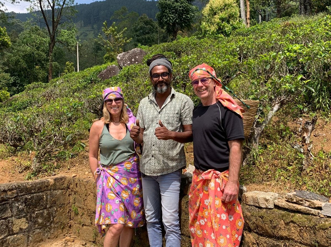 Your Private Driver Sri Lanka - YPDSL-科伦坡必去景点