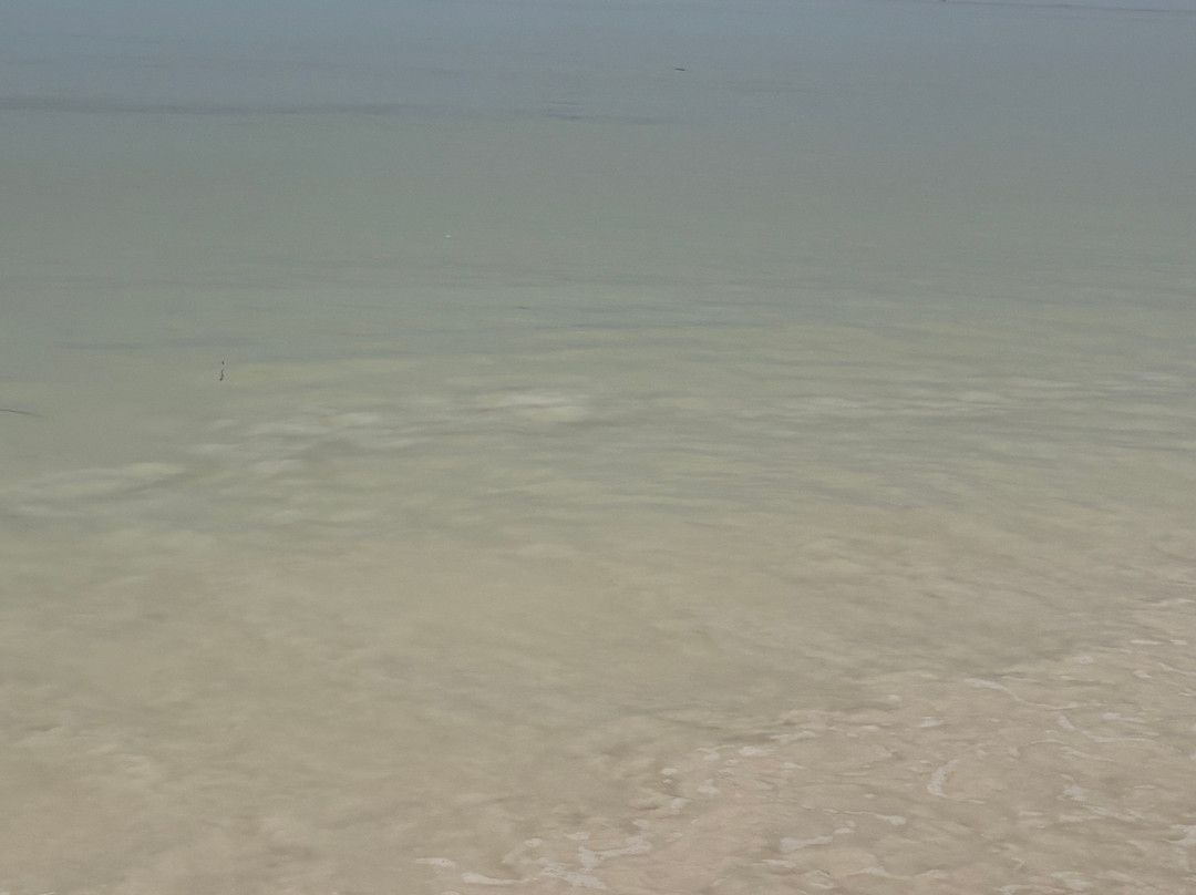 Safari In Kenya Con Samba-瓦塔木必去景点