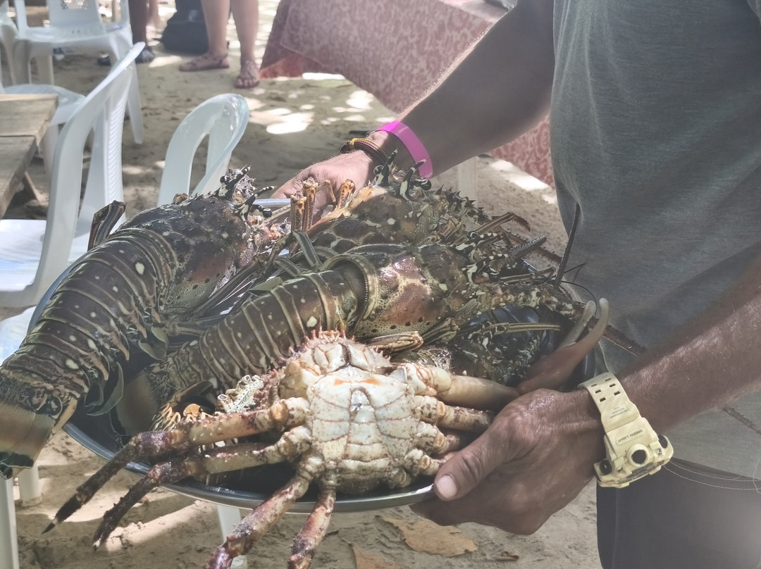 Gregory Tours Samana-Santa Barbara de Samana必去景点