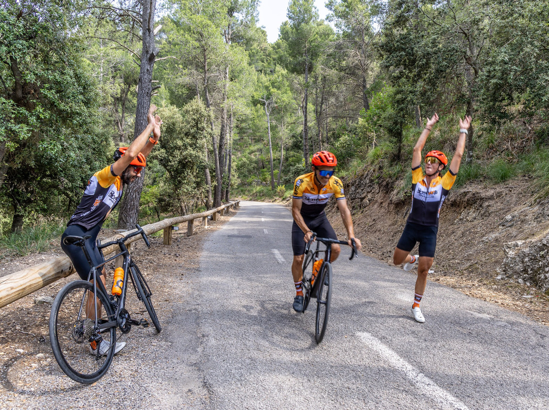 Wheels Sport MALLORCA BIKE HIRE-阿库迪亚必去景点