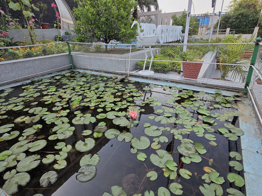 莫拉达巴迪MB克拉克斯旅馆主图