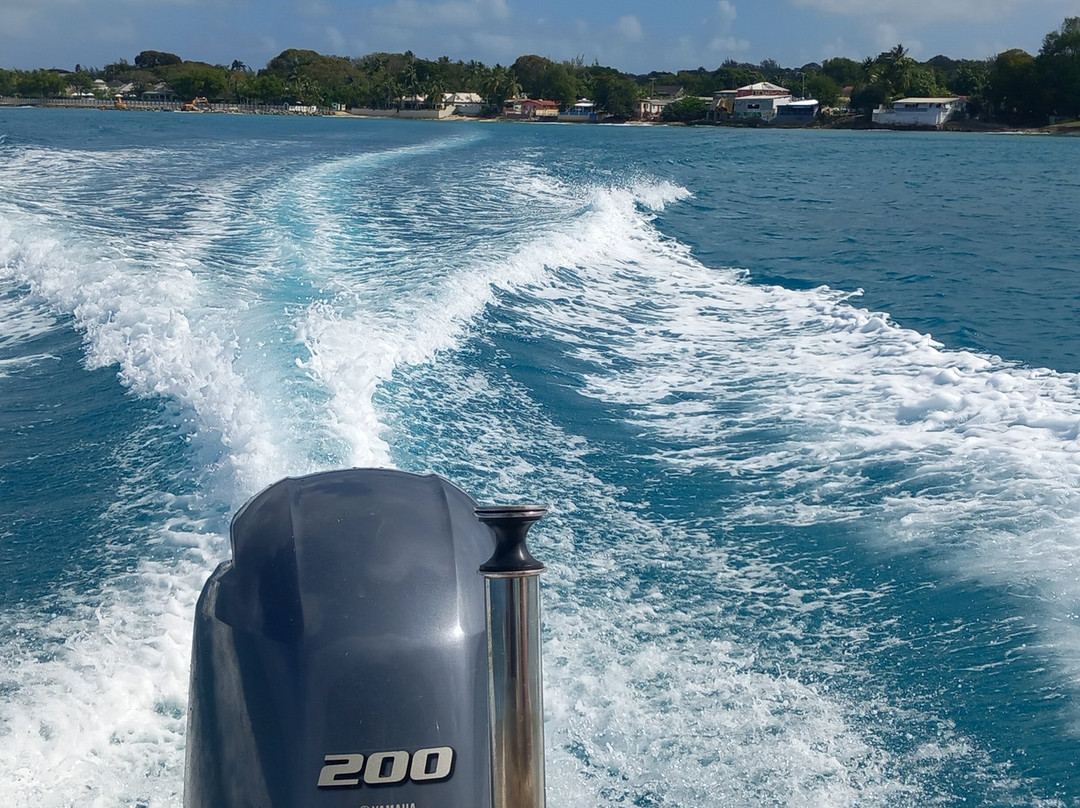 Captain Dwayne Barbados / Livity Cruises-巴巴多斯必去景点