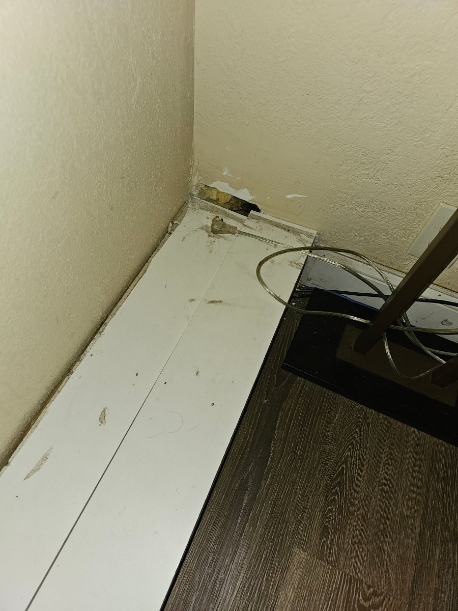 皮姆利科赛马场附近凯艺酒店-客卧