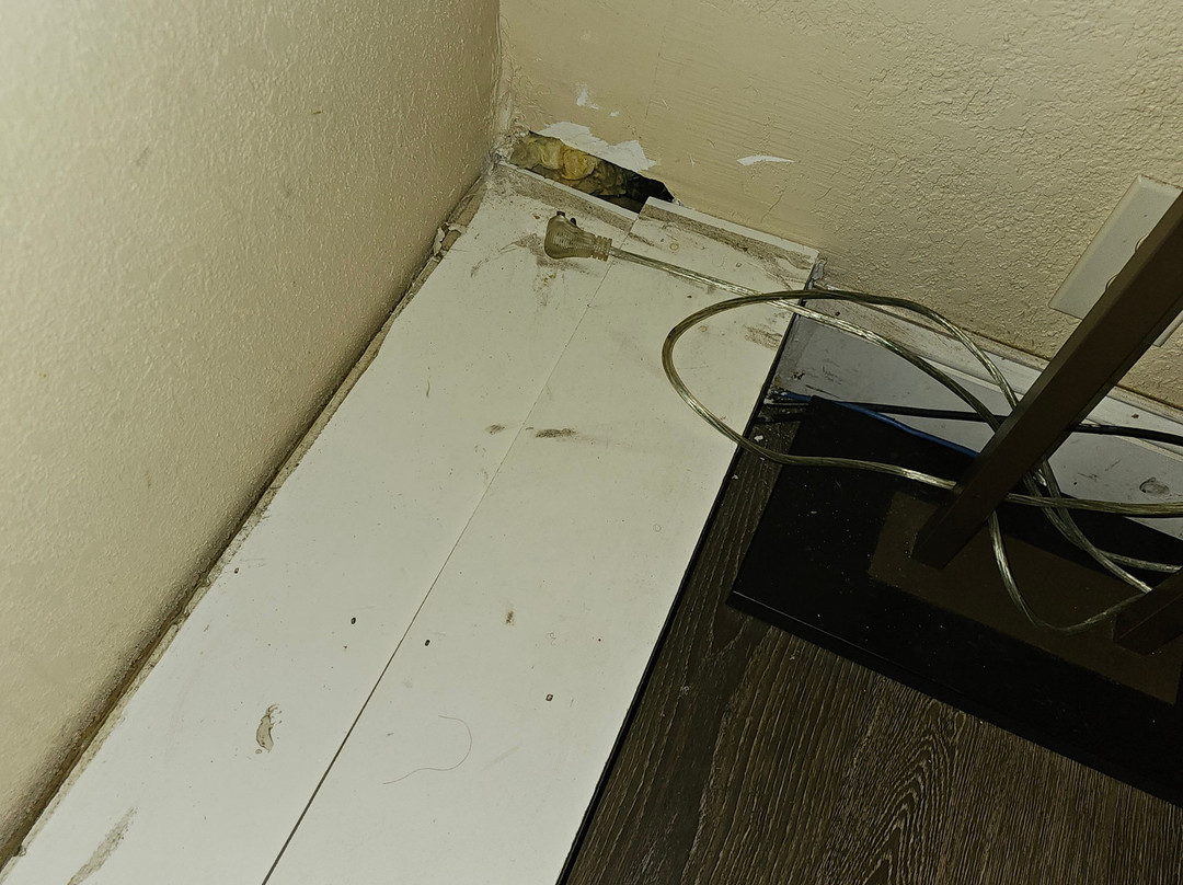 皮姆利科赛马场附近凯艺酒店主图