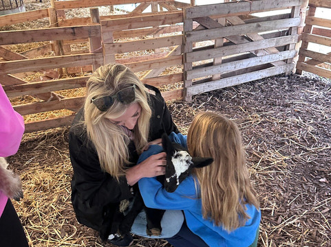 Cullen's Sheep Farm-拉腊必去景点
