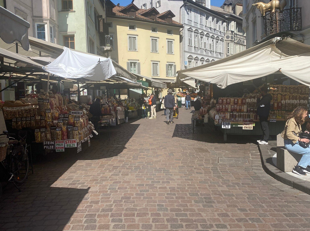 Piazza delle Erbe-博尔扎诺必去景点