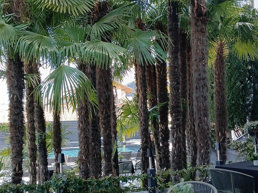 Hotel Tirolensis主图
