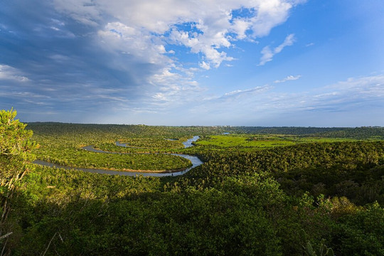 Sibuya Game Reserve - Private Day Trips-Kenton-on-Sea必去景点