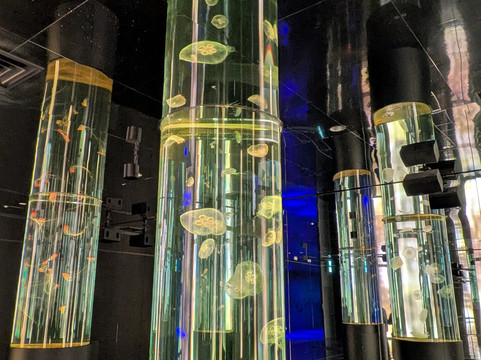 Dmm Kariyushi Aquarium-丰见城市必去景点