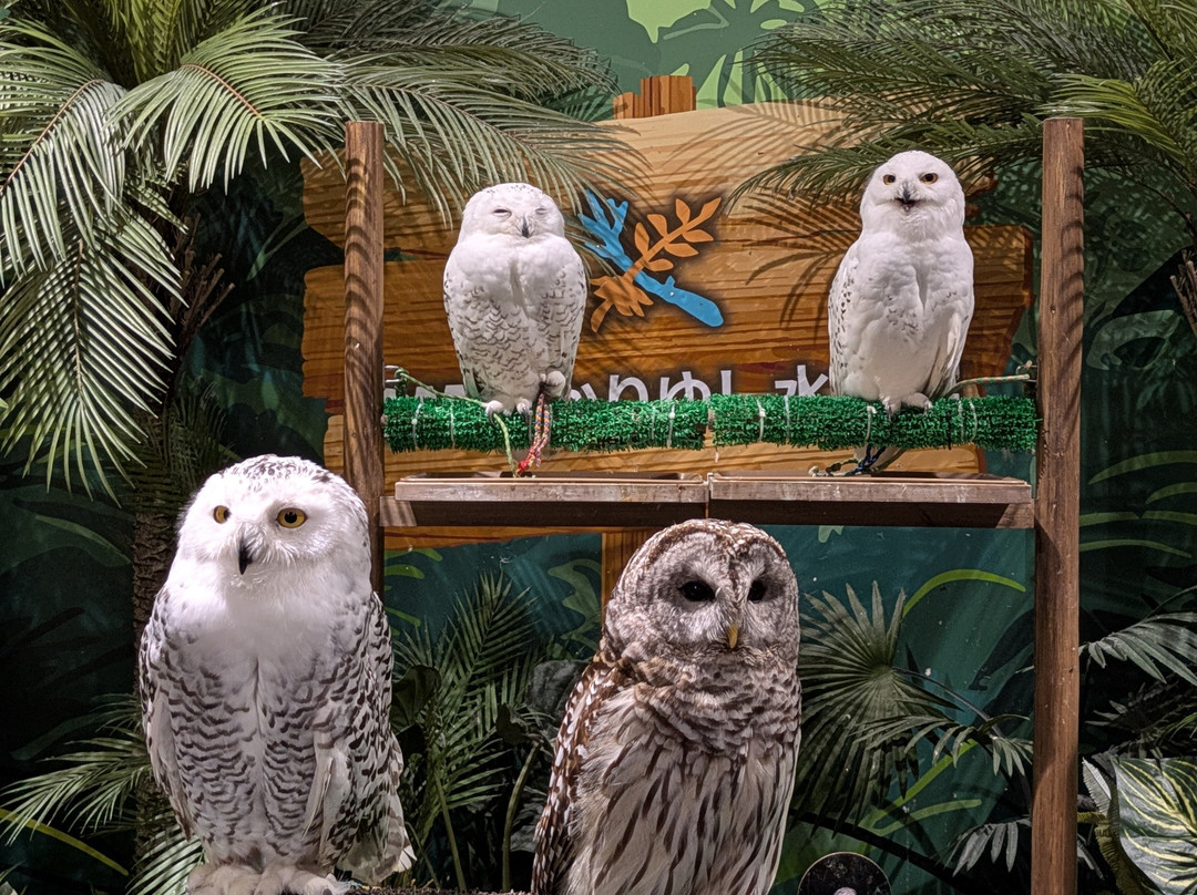 Dmm Kariyushi Aquarium-丰见城市必去景点