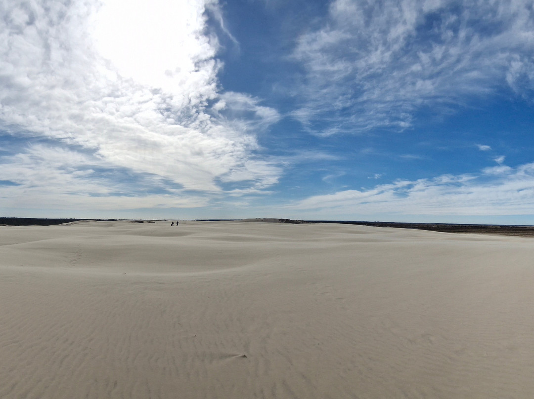 Råbjerg Mile-斯卡恩必去景点