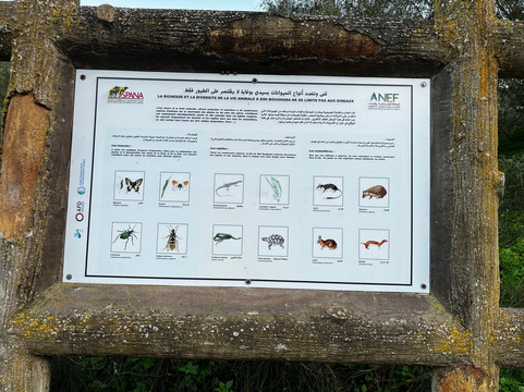 Lac Sidi Boughaba Parc National-Kenitra必去景点