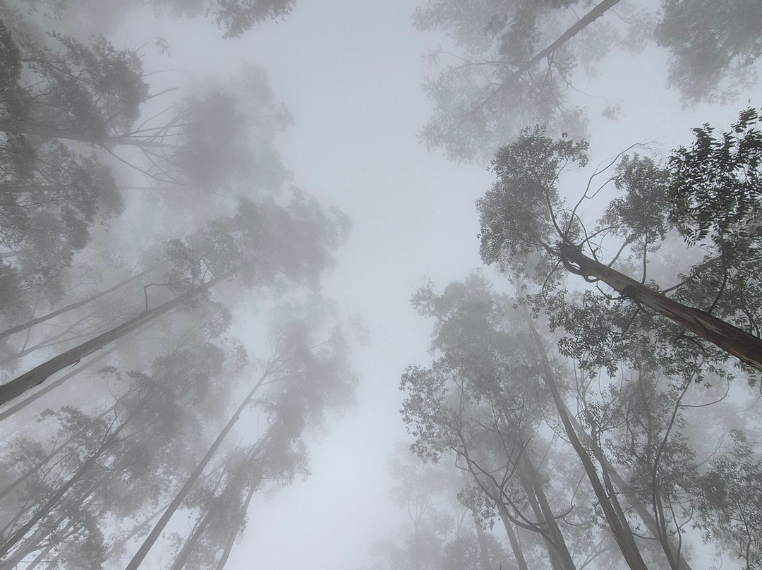 Tripcat-班加罗尔必去景点