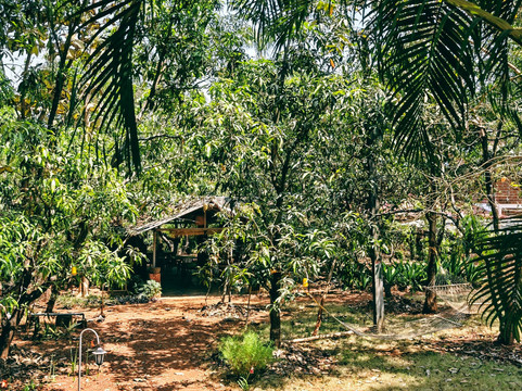 Atithi Parinay Homestay主图