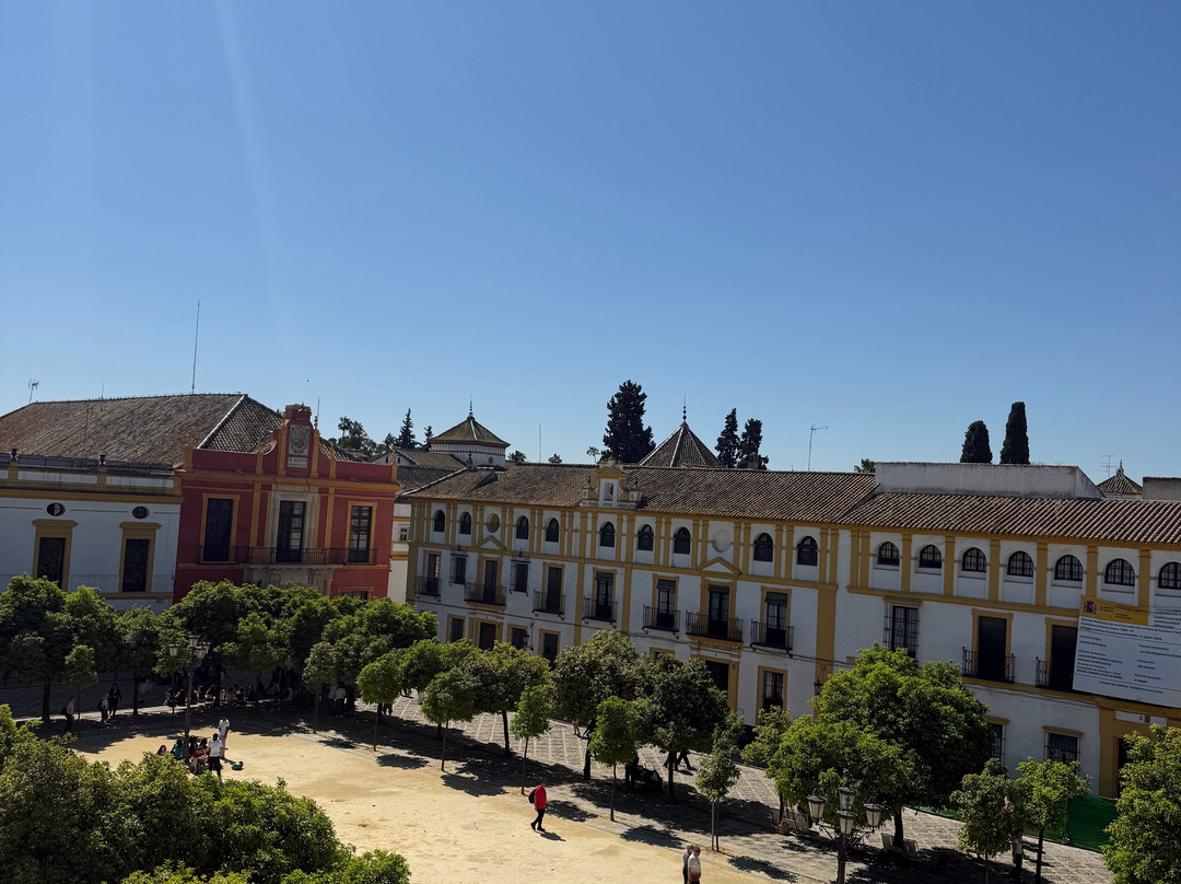 Free Tour Seville | Guruwalk-塞维利亚必去景点