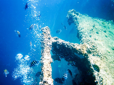 Antilla Shipwreck Aruba