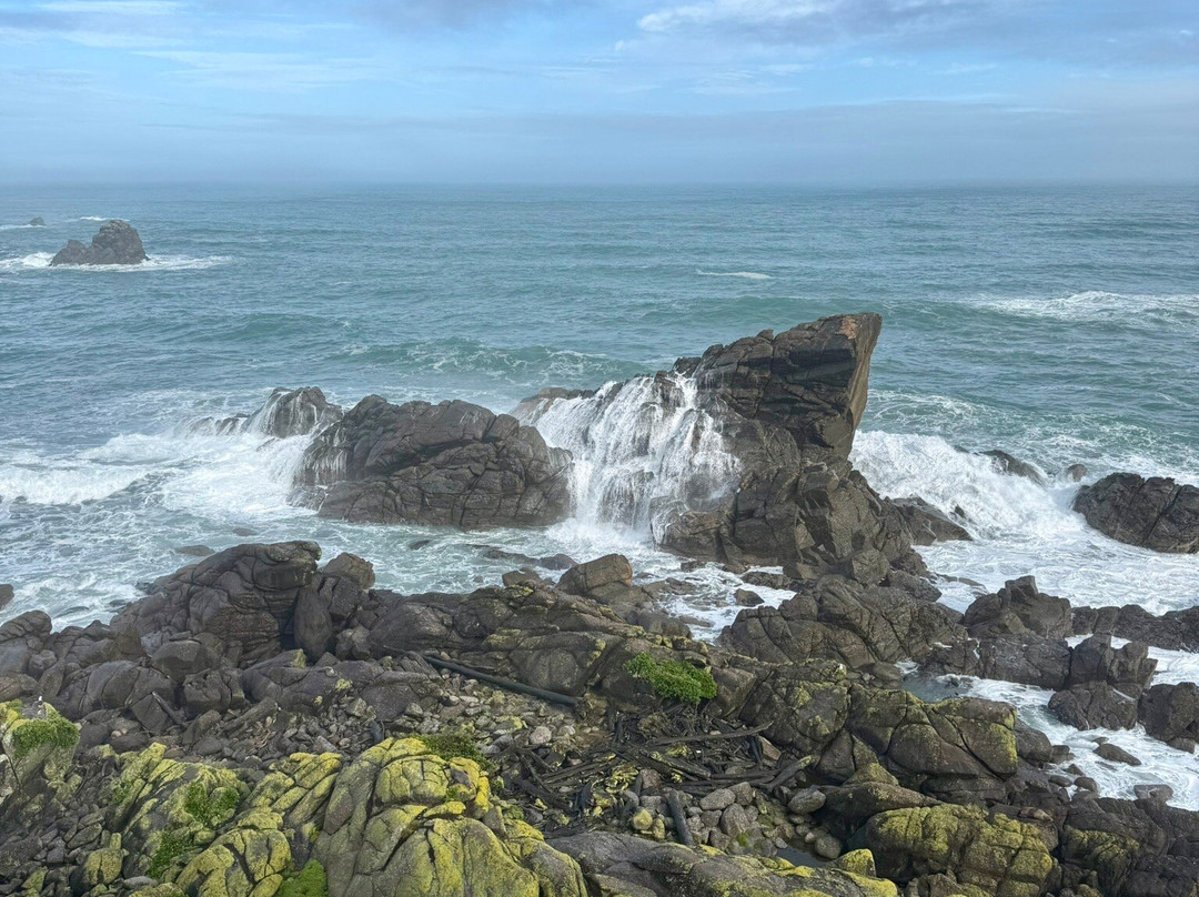 开普福尔温德角步道-韦斯特波特必去景点