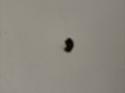 岩石丘万怡酒店主图