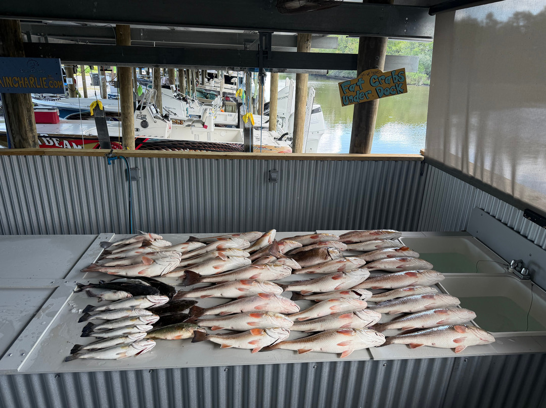 Bayou Charters-Saint Bernard必去景点