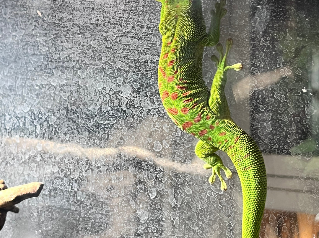 Ashlyns Wildlife Park-North Weald必去景点