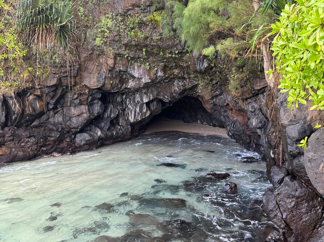 Turtle Cove-普林斯维尔必去景点