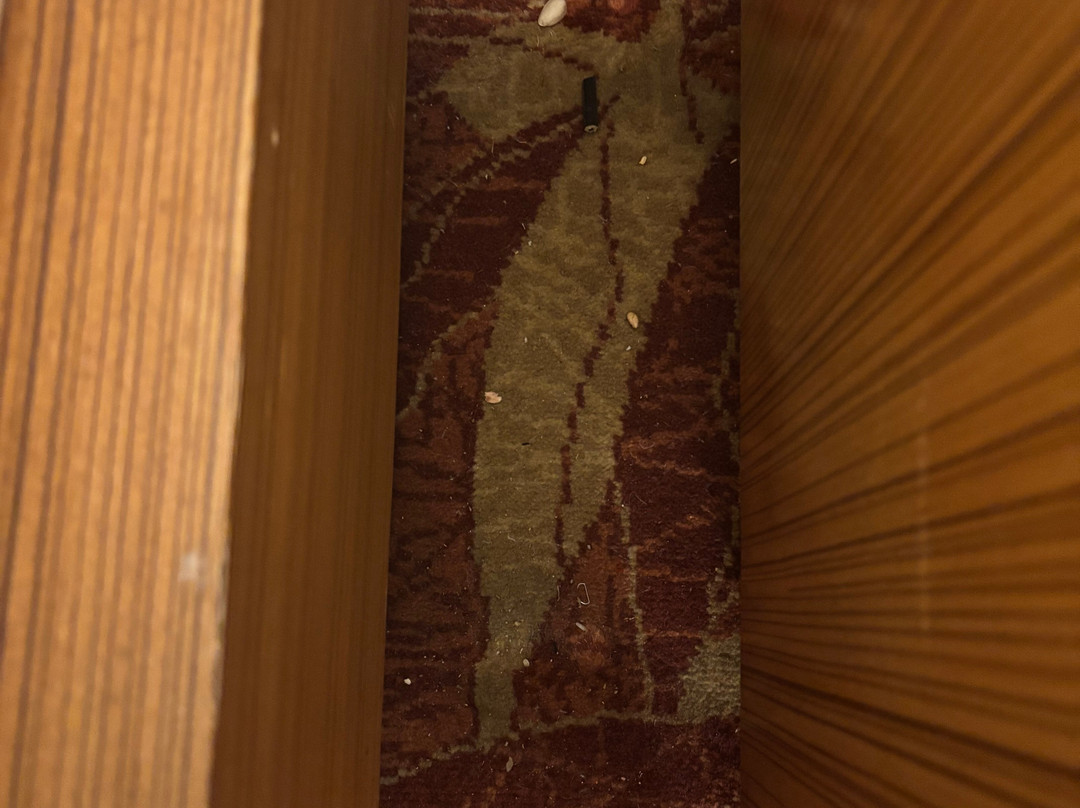 纳格浦尔傲世酒店主图