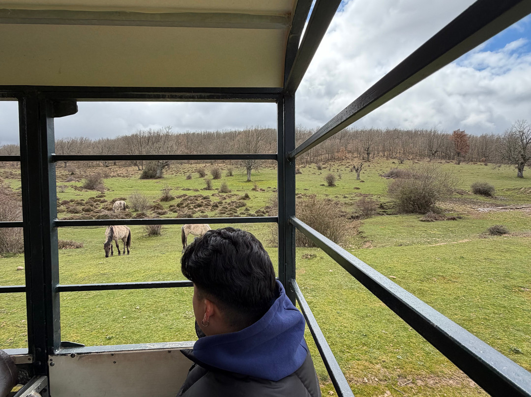 Paleolitico Vivo-布尔戈斯省必去景点