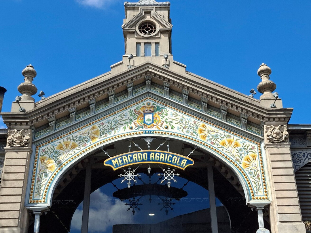 Mercado Agricola Montevideo - MAM-蒙得维的亚必去景点