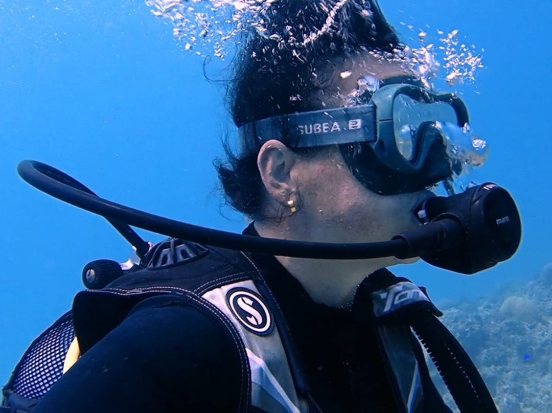 Dive Spirit Mauritius-卓欧毕雪必去景点