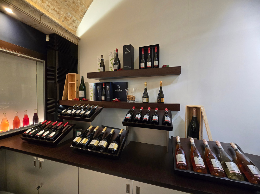 Champagne Dom Caudron-Passy-Grigny必去景点