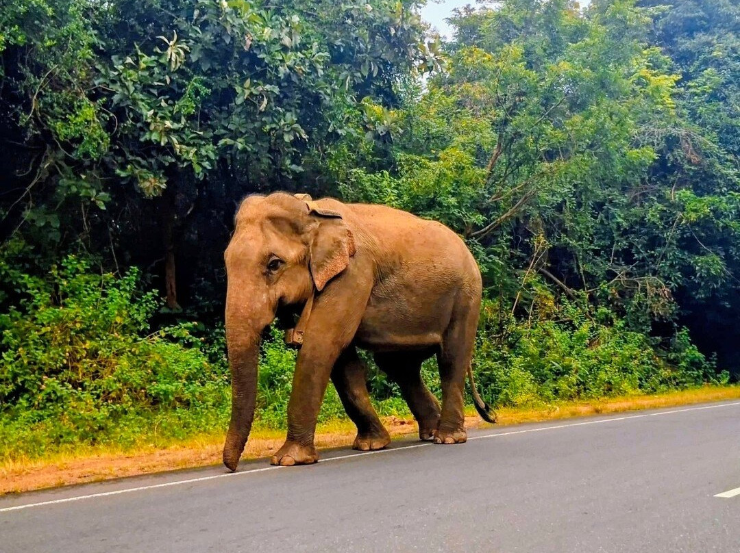 Dilro Travels & Tours-西部省必去景点