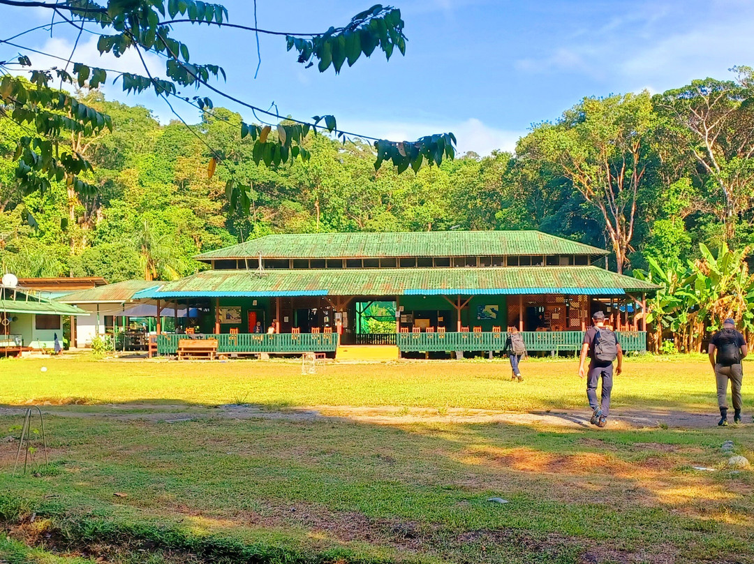 Corcovado Hiking Tours-希门尼斯港必去景点