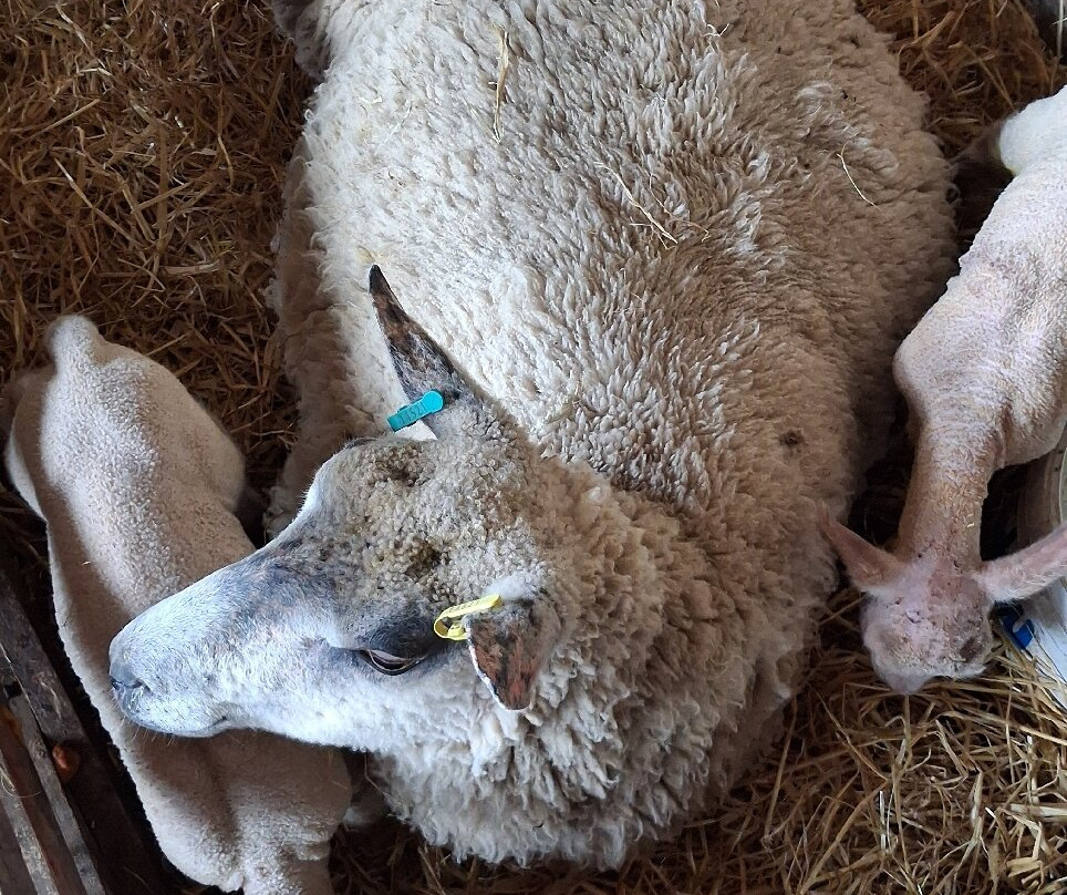 Coombes Farm-Coombes必去景点