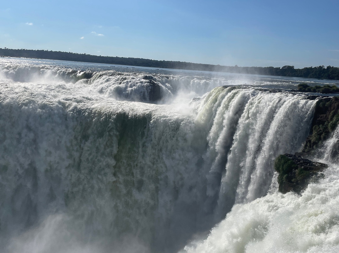 Iguazu Jungle-伊瓜苏港必去景点