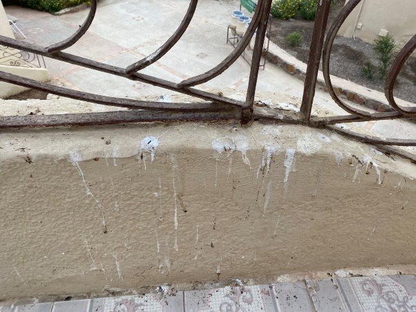 天堂海滩度假村-客卧