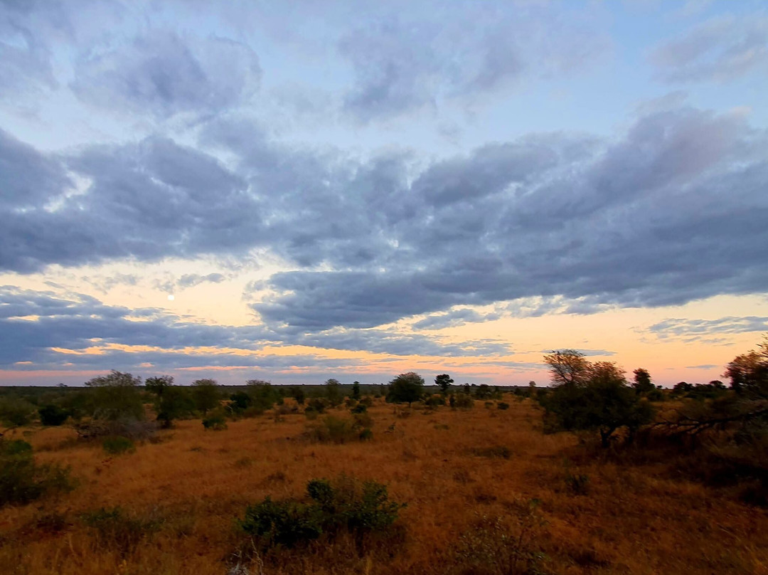 Game drives at Phalaborwa Gate in Kruger National Park-克鲁格国家公园必去景点