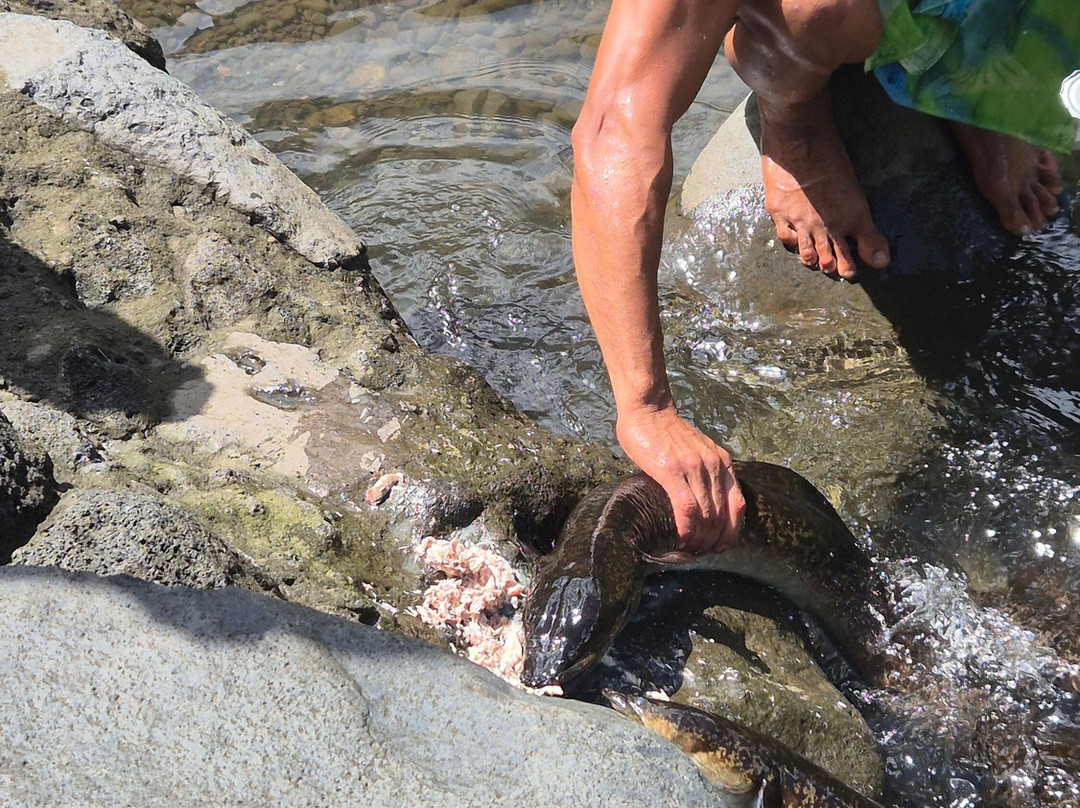 Marama Safari 4x4-法阿必去景点