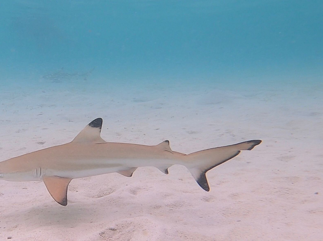 East Indonesia Trip-Labuan Bajo必去景点