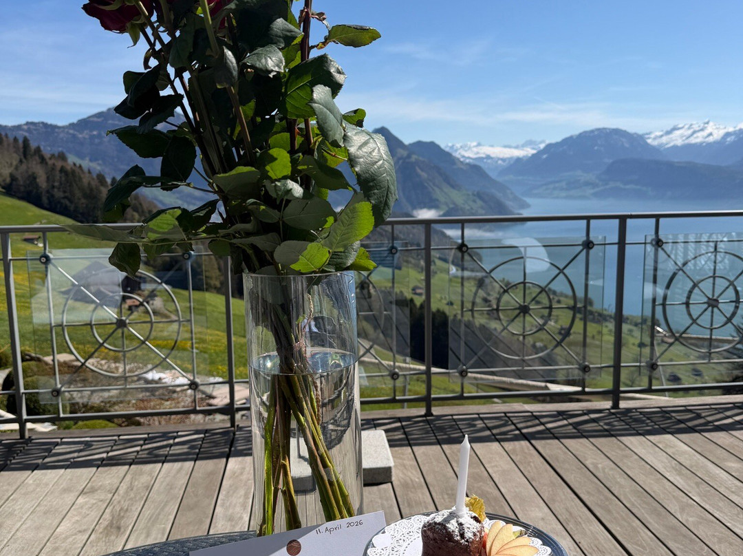 霍尼格别墅主图