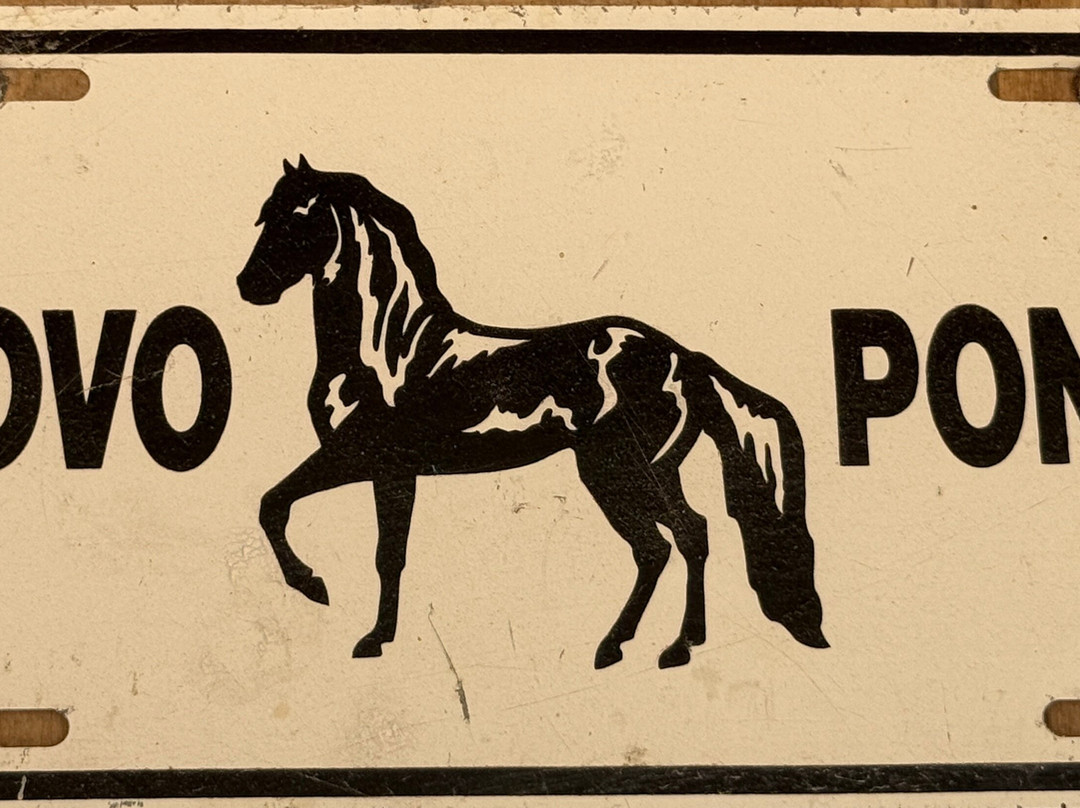 Provo Ponies-Long Bay Hills必去景点