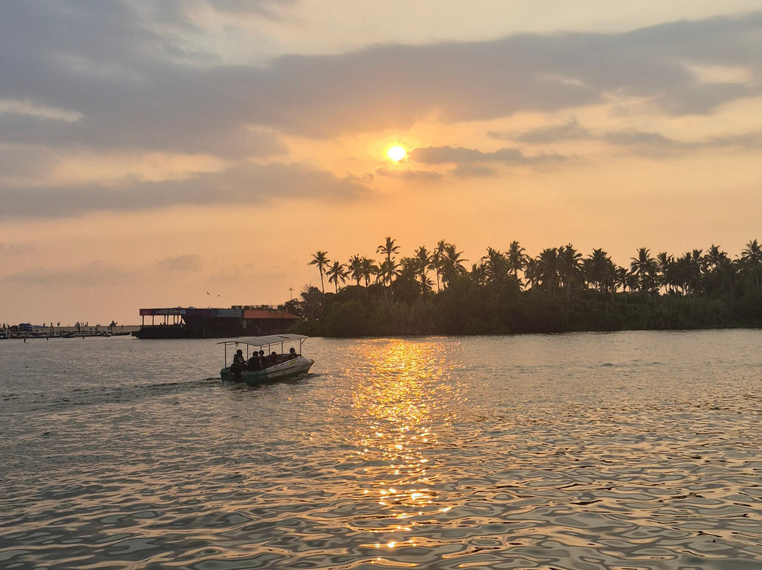 Estuary Sarovar Premiere，Poovar岛主图