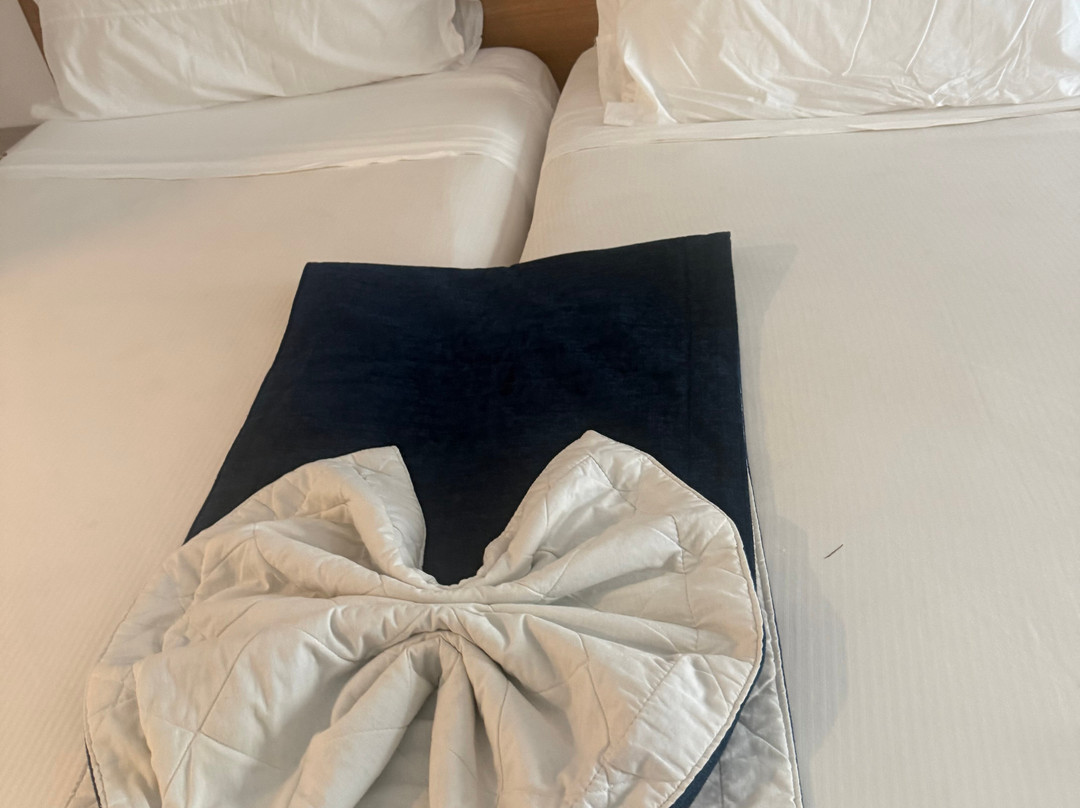 丽笙宫殿酒店博阿维斯塔 - 全包主图